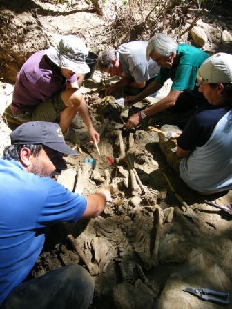 Exhumation, par l'ARMH, d'une fosse commune de victimes de la Guerre civile espagnole, 2008 (source : Archivo fotográfico Foro Cultural Provincia de El Bierzo)